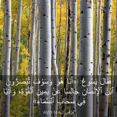 Picture 03 - مَرْقُس 14:62 AVD - فَقَالَ يَسُوعُ: «أَنَا - Bible Verse Picture