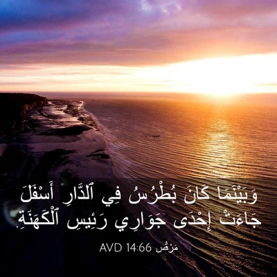 Picture 03 - مَرْقُس 14:66 AVD - وَبَيْنَمَا كَانَ - Bible Verse Picture