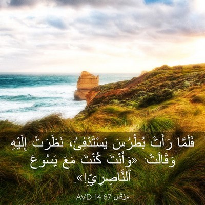 Picture 03 - مَرْقُس 14:67 AVD - فَلَمَّا رَأَتْ بُطْرُسَ - Bible Verse Picture