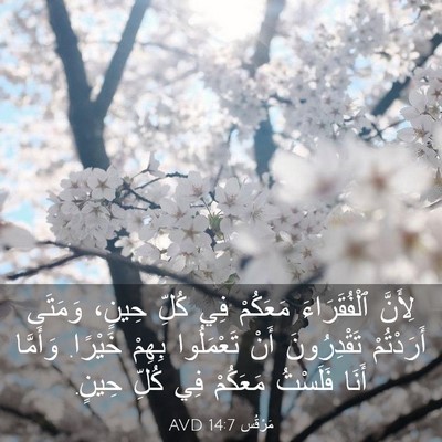 Picture 03 - مَرْقُس 14:7 AVD - لِأَنَّ ٱلْفُقَرَاءَ - Bible Verse Picture