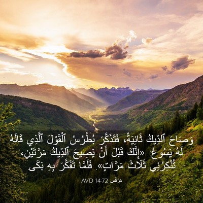 Picture 03 - مَرْقُس 14:72 AVD - وَصَاحَ ٱلدِّيكُ - Bible Verse Picture