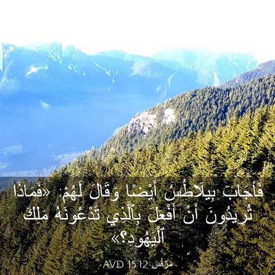 Picture 03 - مَرْقُس 15:12 AVD - فَأجَابَ بِيلَاطُسُ - Bible Verse Picture