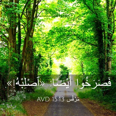 Picture 03 - مَرْقُس 15:13 AVD - فَصَرَخُوا أَيْضًا: - Bible Verse Picture
