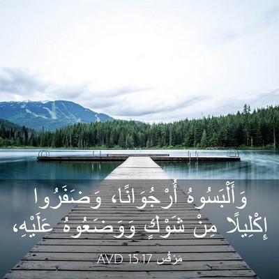 Picture 03 - مَرْقُس 15:17 AVD - وَأَلْبَسُوهُ - Bible Verse Picture
