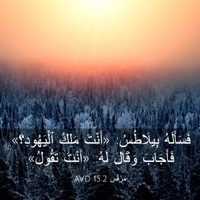 Picture 03 - مَرْقُس 15:2 AVD - فَسَأَلَهُ بِيلَاطُسُ: - Bible Verse Picture