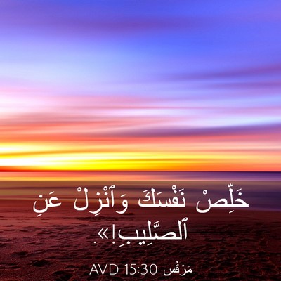 Picture 03 - مَرْقُس 15:30 AVD - خَلِّصْ نَفْسَكَ - Bible Verse Picture