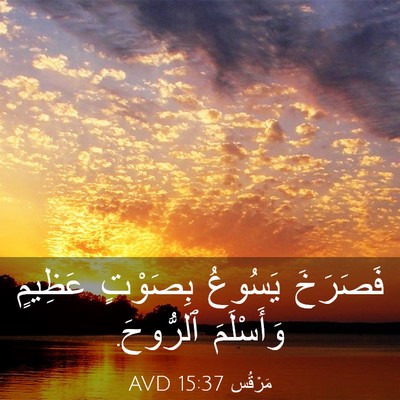 Picture 03 - مَرْقُس 15:37 AVD - فَصَرَخَ يَسُوعُ بِصَوْتٍ - Bible Verse Picture