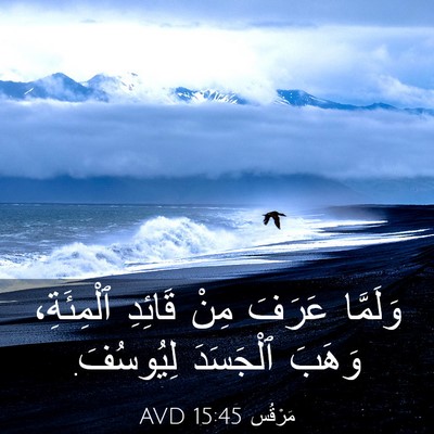 Picture 03 - مَرْقُس 15:45 AVD - وَلَمَّا عَرَفَ مِنْ - Bible Verse Picture