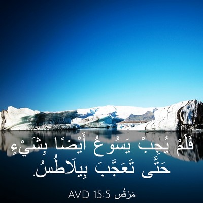 Picture 03 - مَرْقُس 15:5 AVD - فَلَمْ يُجِبْ يَسُوعُ - Bible Verse Picture