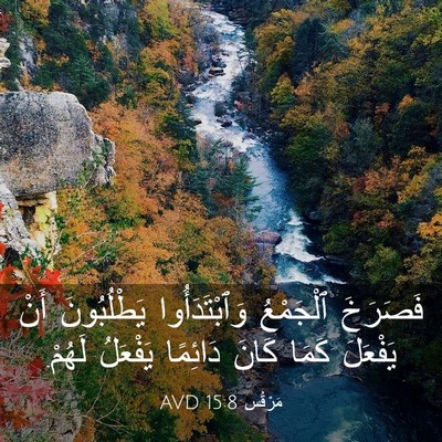 Picture 03 - مَرْقُس 15:8 AVD - فَصَرَخَ ٱلْجَمْعُ - Bible Verse Picture