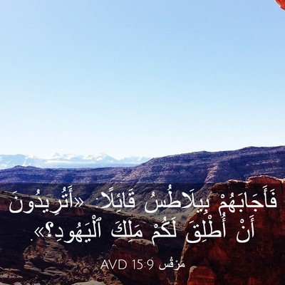 Picture 03 - مَرْقُس 15:9 AVD - فَأَجَابَهُمْ بِيلَاطُسُ - Bible Verse Picture