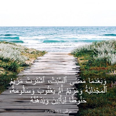 Picture 03 - مَرْقُس 16:1 AVD - وَبَعْدَمَا مَضَى - Bible Verse Picture