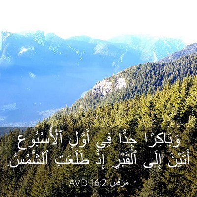 Picture 03 - مَرْقُس 16:2 AVD - وَبَاكِرًا جِدًّا فِي - Bible Verse Picture