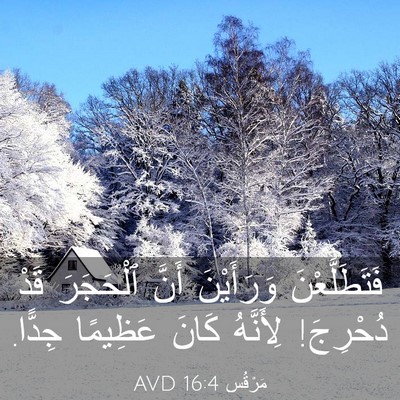 Picture 03 - مَرْقُس 16:4 AVD - فَتَطَلَّعْنَ وَرَأَيْنَ - Bible Verse Picture