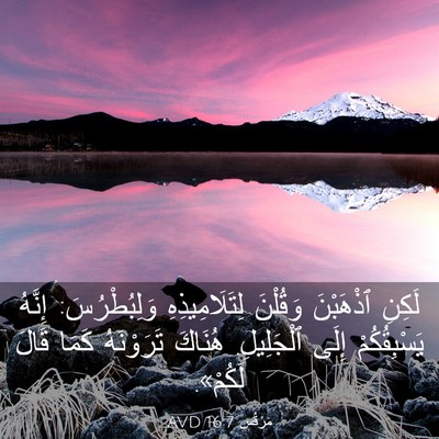 Picture 03 - مَرْقُس 16:7 AVD - لَكِنِ ٱذْهَبْنَ وَقُلْنَ - Bible Verse Picture