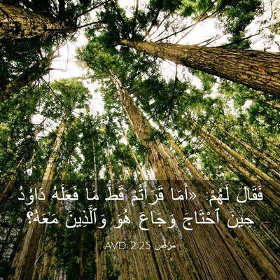 Picture 03 - مَرْقُس 2:25 AVD - فَقَالَ لَهُمْ: «أَمَا - Bible Verse Picture