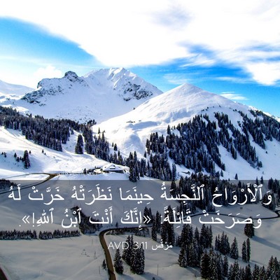 Picture 03 - مَرْقُس 3:11 AVD - وَٱلْأَرْوَاحُ - Bible Verse Picture