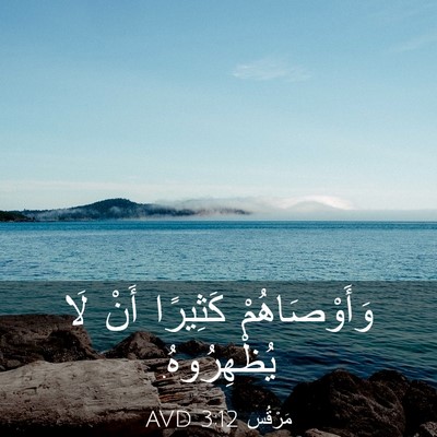 Picture 03 - مَرْقُس 3:12 AVD - وَأَوْصَاهُمْ كَثِيرًا - Bible Verse Picture