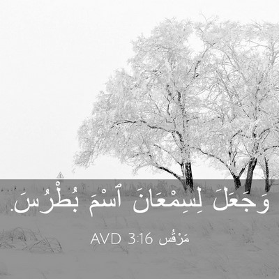 Picture 03 - مَرْقُس 3:16 AVD - وَجَعَلَ لِسِمْعَانَ - Bible Verse Picture