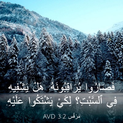 Picture 03 - مَرْقُس 3:2 AVD - فَصَارُوا يُرَاقِبُونَهُ: - Bible Verse Picture