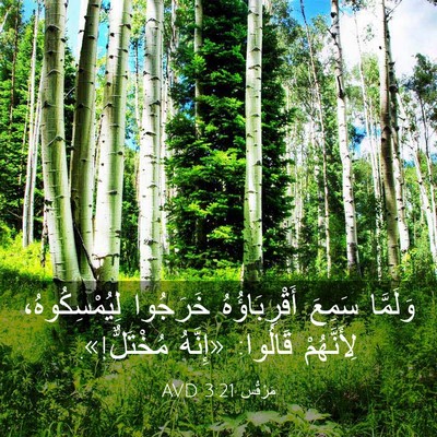 Picture 03 - مَرْقُس 3:21 AVD - وَلَمَّا سَمِعَ - Bible Verse Picture