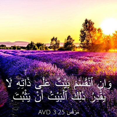 Picture 03 - مَرْقُس 3:25 AVD - وَإِنِ ٱنْقَسَمَ بَيْتٌ - Bible Verse Picture