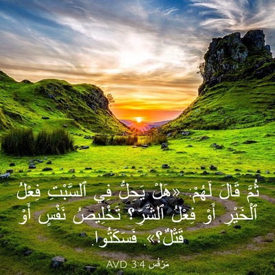 Picture 03 - مَرْقُس 3:4 AVD - ثُمَّ قَالَ لَهُمْ: «هَلْ - Bible Verse Picture