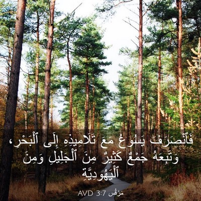 Picture 03 - مَرْقُس 3:7 AVD - فَٱنْصَرَفَ يَسُوعُ مَعَ - Bible Verse Picture