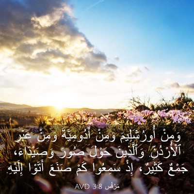 Picture 03 - مَرْقُس 3:8 AVD - وَمِنْ أُورُشَلِيمَ - Bible Verse Picture