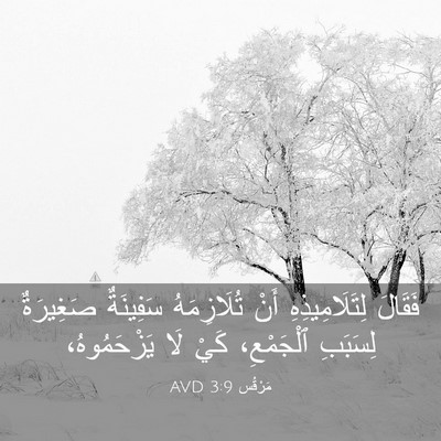 Picture 03 - مَرْقُس 3:9 AVD - فَقَالَ لِتَلَامِيذِهِ - Bible Verse Picture