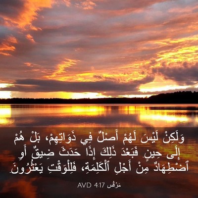 Picture 03 - مَرْقُس 4:17 AVD - وَلَكِنْ لَيْسَ لَهُمْ - Bible Verse Picture