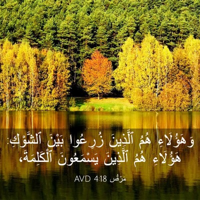 Picture 03 - مَرْقُس 4:18 AVD - وَهَؤُلَاءِ هُمُ - Bible Verse Picture