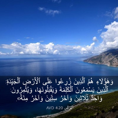 Picture 03 - مَرْقُس 4:20 AVD - وَهَؤُلَاءِ هُمُ - Bible Verse Picture