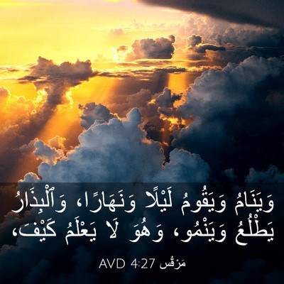 Picture 03 - مَرْقُس 4:27 AVD - وَيَنَامُ وَيَقُومُ - Bible Verse Picture