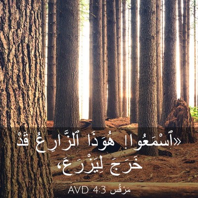 Picture 03 - مَرْقُس 4:3 AVD - «ٱسْمَعُوا! هُوَذَا - Bible Verse Picture