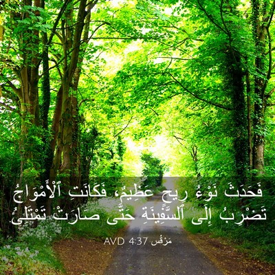 Picture 03 - مَرْقُس 4:37 AVD - فَحَدَثَ نَوْءُ رِيحٍ - Bible Verse Picture