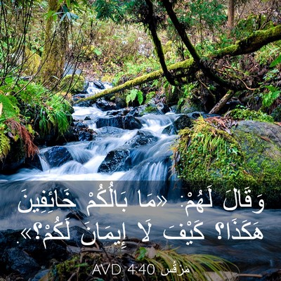 Picture 03 - مَرْقُس 4:40 AVD - وَقَالَ لَهُمْ: «مَا - Bible Verse Picture
