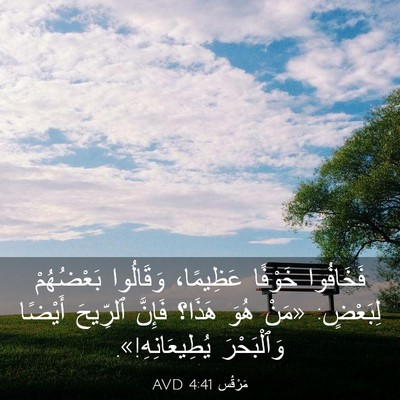 Picture 03 - مَرْقُس 4:41 AVD - فَخَافُوا خَوْفًا - Bible Verse Picture