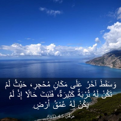 Picture 03 - مَرْقُس 4:5 AVD - وَسَقَطَ آخَرُ عَلَى - Bible Verse Picture