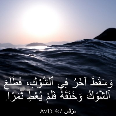 Picture 03 - مَرْقُس 4:7 AVD - وَسَقَطَ آخَرُ فِي - Bible Verse Picture