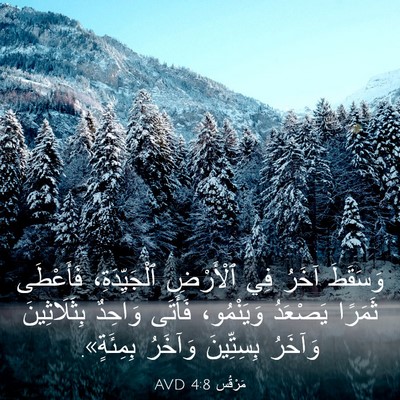 Picture 03 - مَرْقُس 4:8 AVD - وَسَقَطَ آخَرُ فِي - Bible Verse Picture