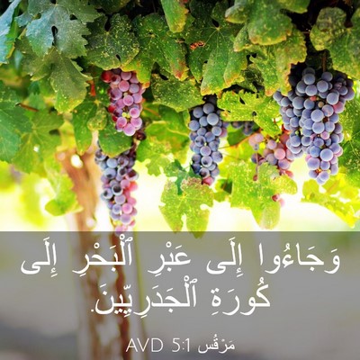 Picture 03 - مَرْقُس 5:1 AVD - وَجَاءُوا إِلَى عَبْرِ - Bible Verse Picture