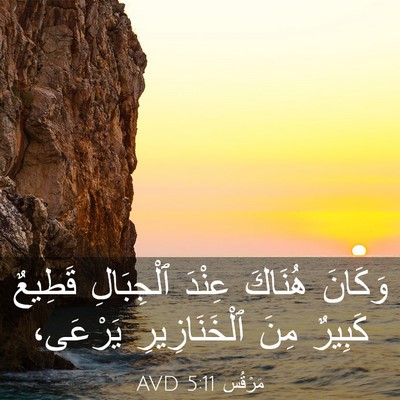 Picture 03 - مَرْقُس 5:11 AVD - وَكَانَ هُنَاكَ عِنْدَ - Bible Verse Picture