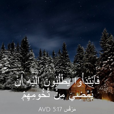 Picture 03 - مَرْقُس 5:17 AVD - فَٱبْتَدَأُوا يَطْلُبُونَ - Bible Verse Picture