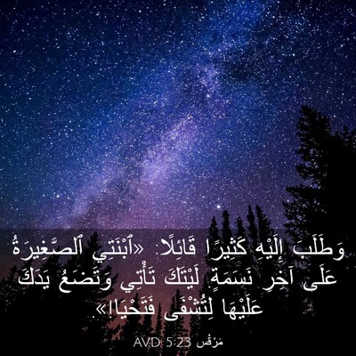 Picture 03 - مَرْقُس 5:23 AVD - وَطَلَبَ إِلَيْهِ - Bible Verse Picture