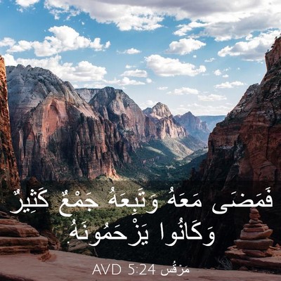 Picture 03 - مَرْقُس 5:24 AVD - فَمَضَى مَعَهُ وَتَبِعَهُ - Bible Verse Picture