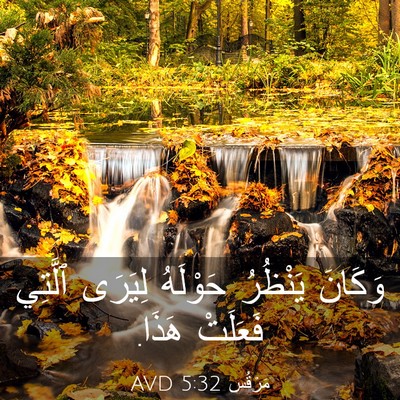 Picture 03 - مَرْقُس 5:32 AVD - وَكَانَ يَنْظُرُ حَوْلَهُ - Bible Verse Picture