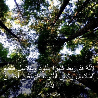 Picture 03 - مَرْقُس 5:4 AVD - لِأَنَّهُ قَدْ رُبِطَ - Bible Verse Picture