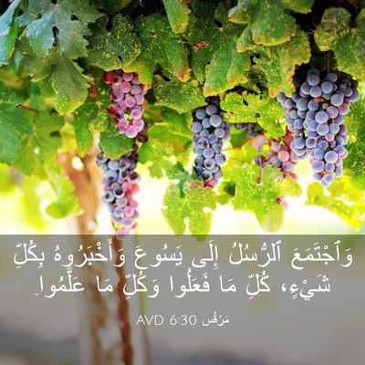 Picture 03 - مَرْقُس 6:30 AVD - وَٱجْتَمَعَ ٱلرُّسُلُ - Bible Verse Picture