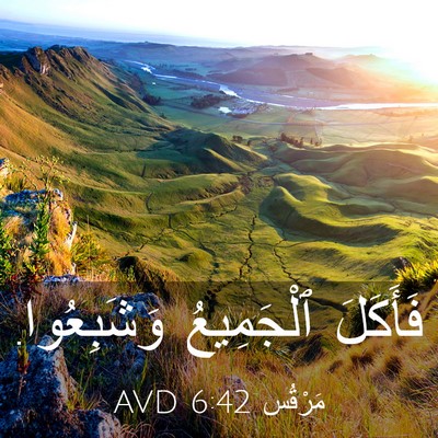 Picture 03 - مَرْقُس 6:42 AVD - فَأَكَلَ ٱلْجَمِيعُ - Bible Verse Picture